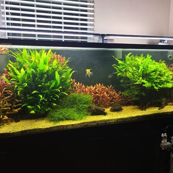 Meet your Posher, Tamara - Picture 8 of 8